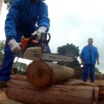 Curso Motosserra Manutenção