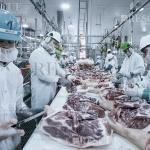 3602 - Treinamento Periódico na Indústria de Abate e Processamento de Carnes e Derivados